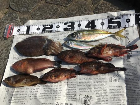 ヘチ釣りとエギング